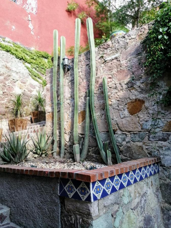 Casita Privada Del Chan Гуанахуато Екстериор снимка